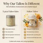 Hallow Tallow Whipped Tallow Moisturizer 4 fl oz – 100% Grass-Fed & Finished